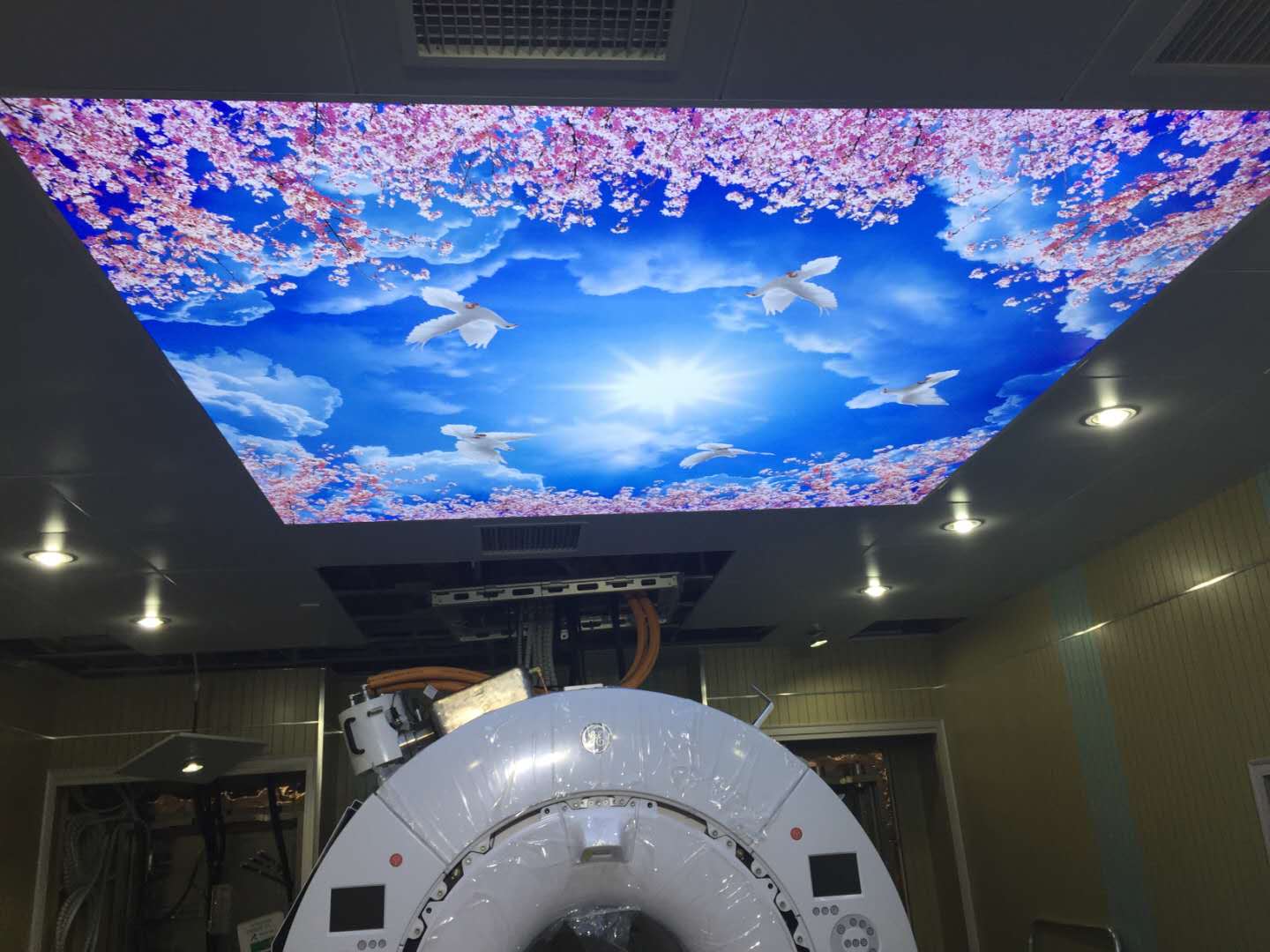 顶部软膜天花装饰（樱花天空）