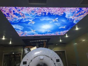 顶部软膜天花装饰（樱花天空）